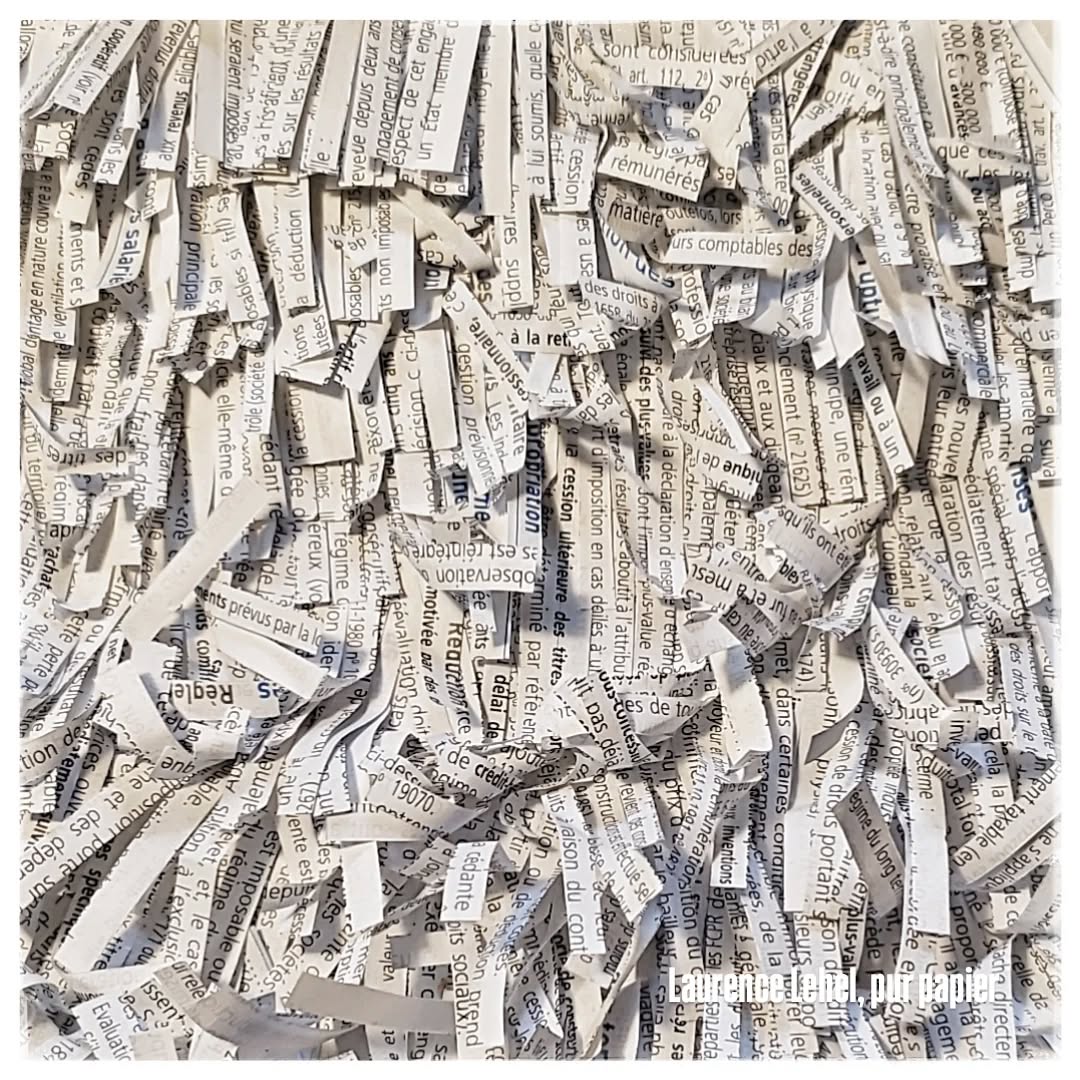 Travail en cours...
Work in progress...
#laurencelehel #purpapier #paperartiste
#encours #workinprogress